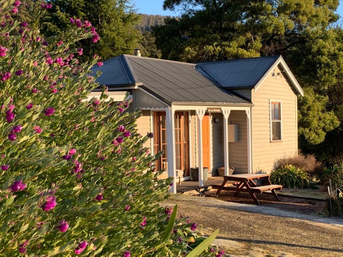 Sassafras Springs Guest house 4*