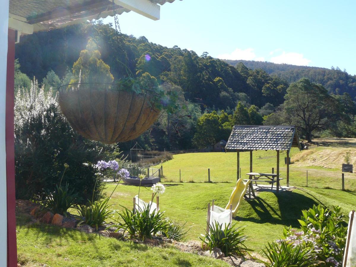Sassafras Springs Guest house 4*