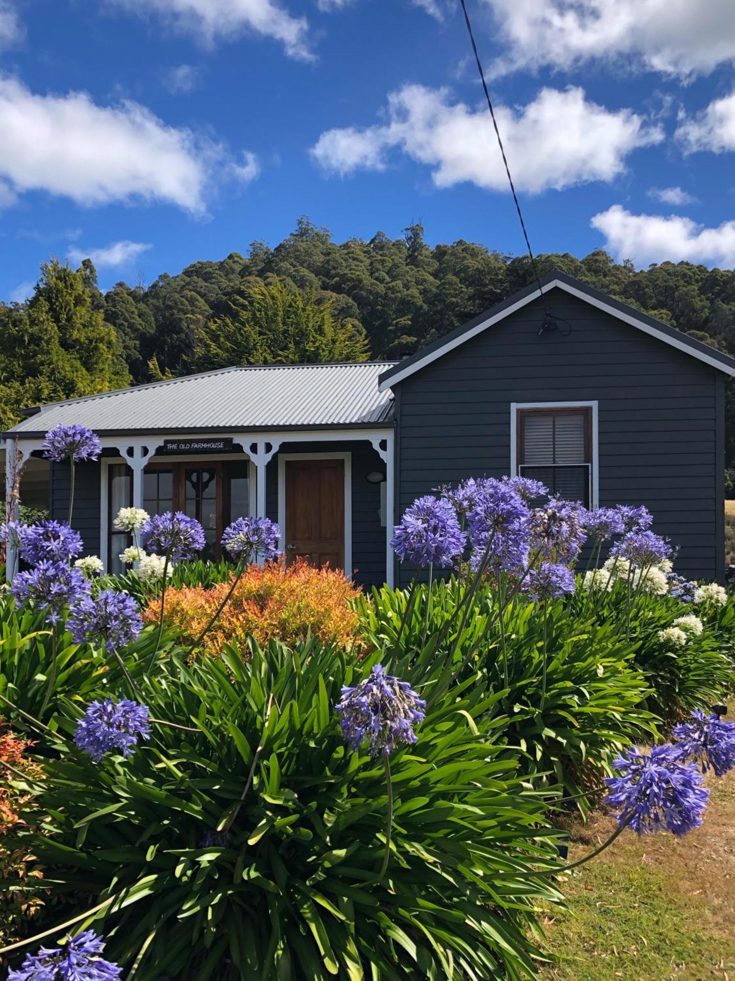 Sassafras Springs 4*